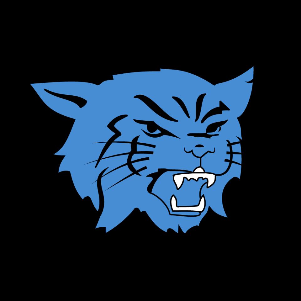 Wildcat logo.