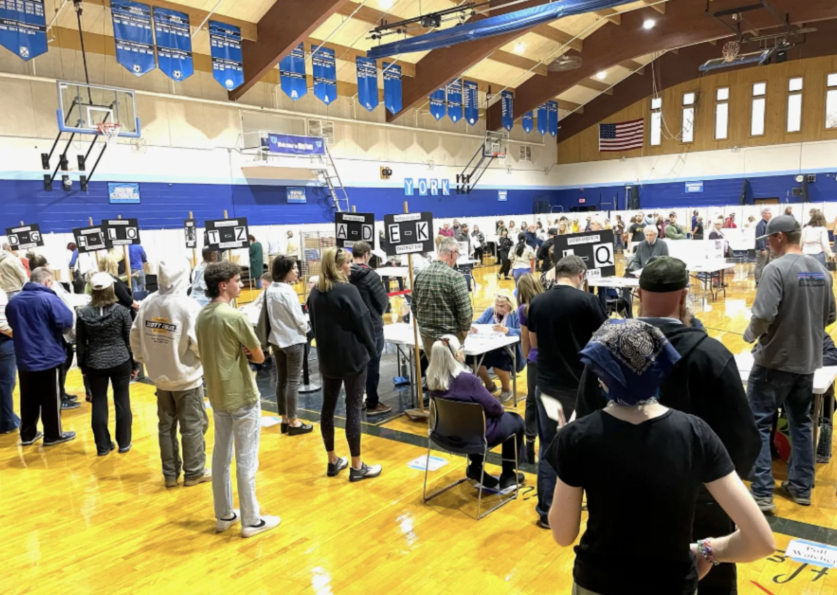 York voters line up at the polls.